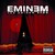 Обложка альбома The Eminem Show исполнителя Eminem