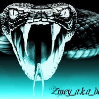 Обложка альбома ПЕРВЫЙ исполнителя ZmeY a.k.a. BeaT