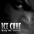 Обложка альбома Why We Thugs исполнителя Ice Cube