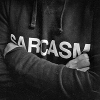 Обложка альбома Sarcasm исполнителя Луперкаль