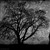 Обложка альбома Dark-Ambient исполнителя Raznolik