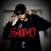 Обложка альбома Возвращение исполнителя SWD