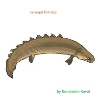 Обложка альбома Senegal fish trip исполнителя XKL