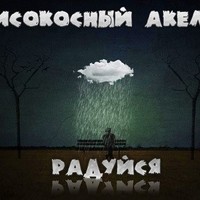 Обложка альбома Радуйся исполнителя Високосный Акела