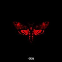 Обложка альбома I Am Not A Human Being II исполнителя Lil Wayne